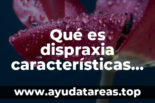 Que es autoconcepto y sus caracteristicas 5 Qué es dispraxia características y causas