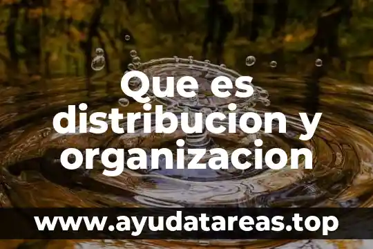 Que es organizacion divisional 3 Que es distribucion y organizacion