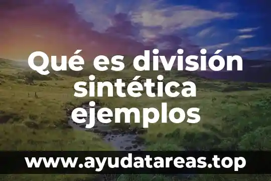 Qué es división sintética ejemplos