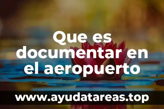 Que es eurocentrismo en filosofía 5 Que es documentar en el aeropuerto