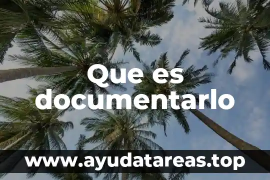 Que es documentarlo