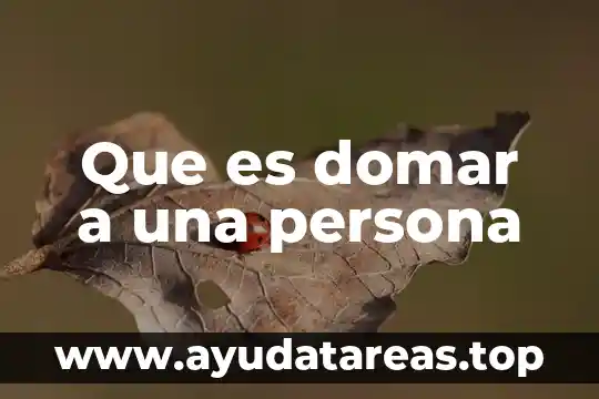 Qué es el principio pro persona principio por persona 5 Que es domar a una persona