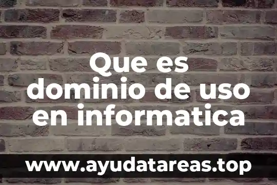 Que es dominio de uso en informatica