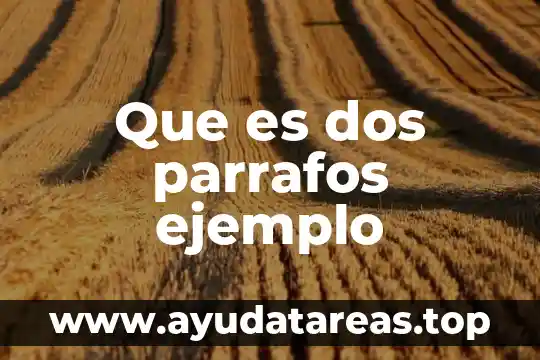 Que es metafísica y un ejemplo 8 Que es dos parrafos ejemplo