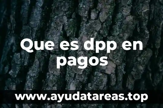 Que es dpp en pagos