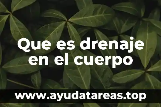 Para que es importante el drenaje en el agua 6 Que es drenaje en el cuerpo