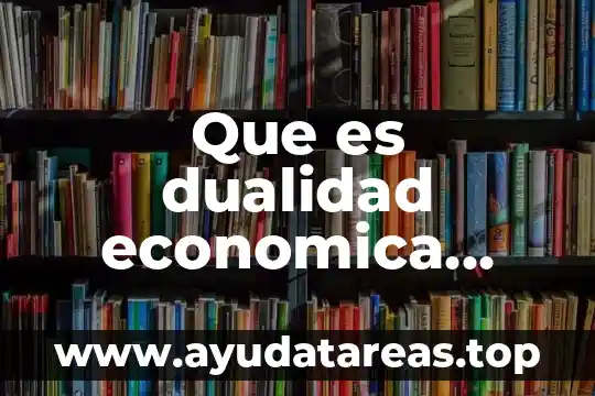 Que es dualidad economica segun las nif