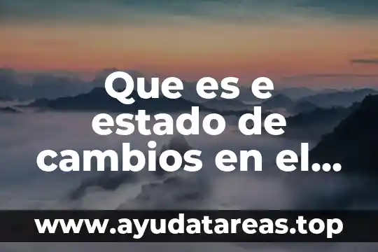 Que es e estado de cambios en el capital contable