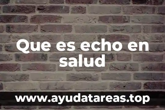 Qué es salud y movimiento definición 4 Que es echo en salud