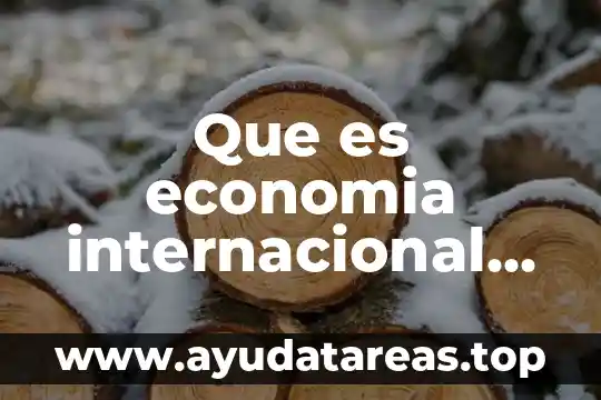 Que es economia internacional definicion