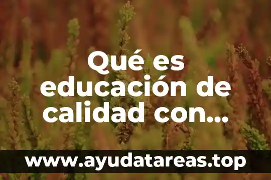 Qué es educación de calidad con inclusión