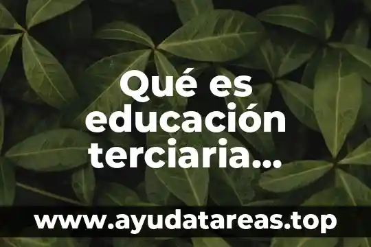 Qué es educación terciaria cibernética
