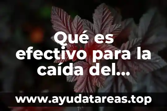 Que es el visagismo en el corte de cabello 3 Qué es efectivo para la caída del cabello en hombres