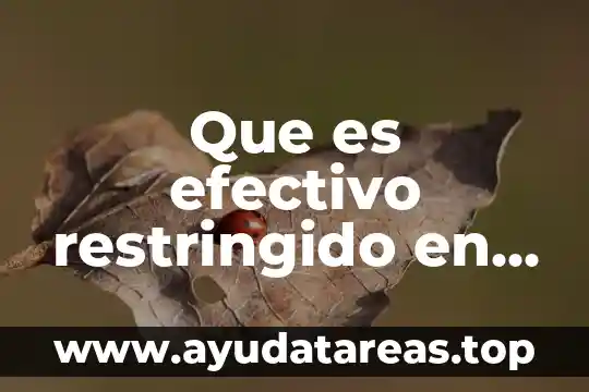 Que es efectivo contra los pokemon tipo fuego 3 Que es efectivo restringido en contabilidad