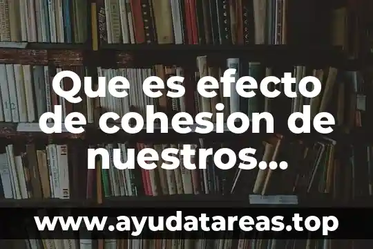 Por que es importante elegir a nuestros gobernantes 5 Que es efecto de cohesion de nuestros español