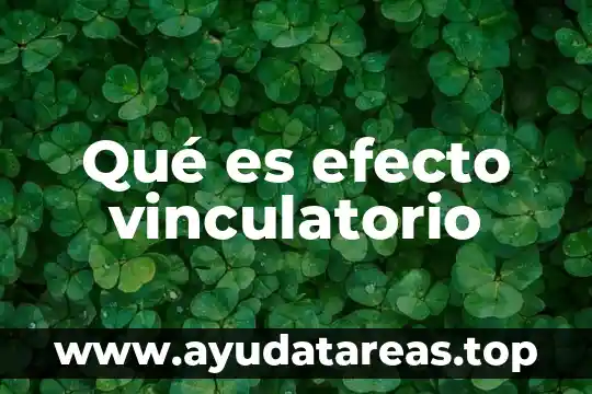 Qué es efecto vinculatorio