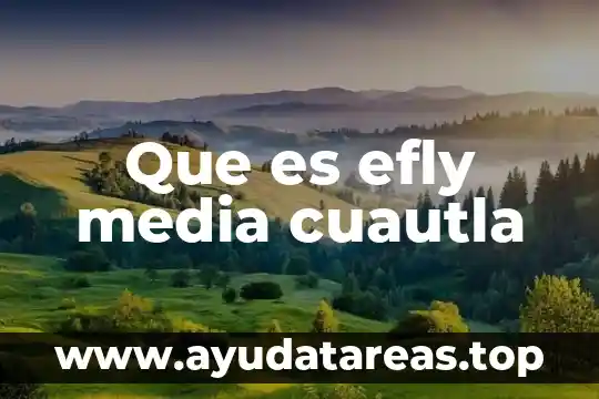 Que es la media matemática 3 Que es efly media cuautla