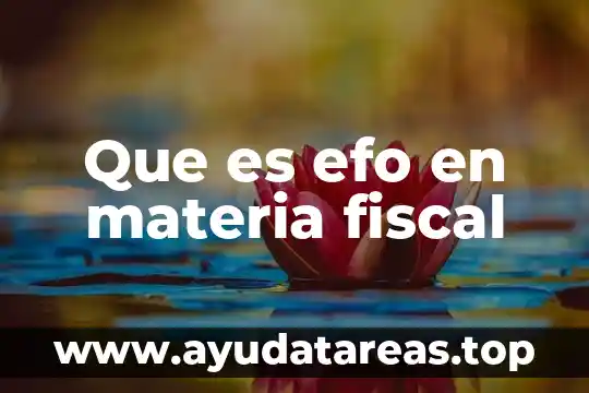 Que es el color en la materia 4 Que es efo en materia fiscal