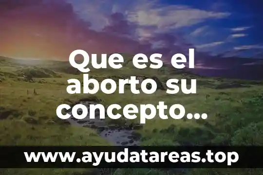 Que es el aborto su concepto causa cudro clinico