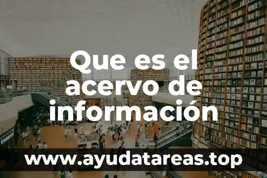 Que es el acervo de información