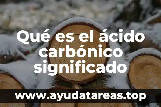 Qué es ácido fólico OMS 4 Qué es el ácido carbónico significado