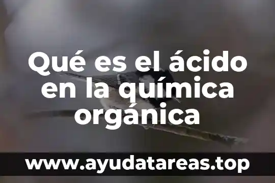 Qué es el ácido en la química orgánica
