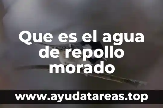De que es el agua gnula 4 Que es el agua de repollo morado