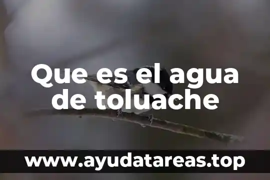 Que es el agua de toluache