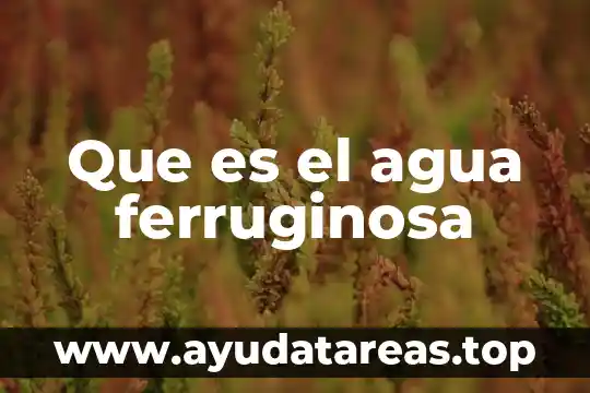 Que es el suministro de agua en forma directa 6 Que es el agua ferruginosa