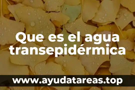 Que es la escaser de agua 7 Que es el agua transepidérmica
