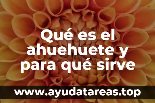 Qué es el ahuehuete y para qué sirve