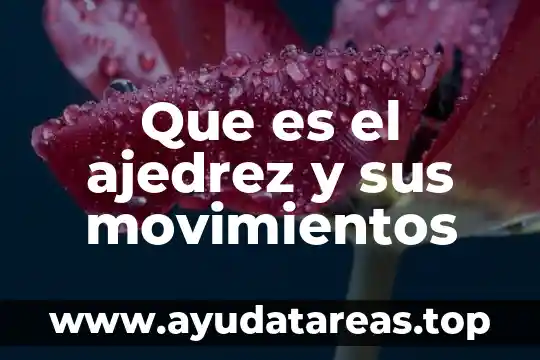 Que es el ajedrez y sus movimientos