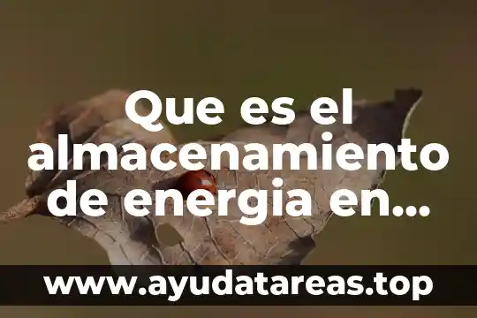 Que es el almacenamiento de energia en un capacitor