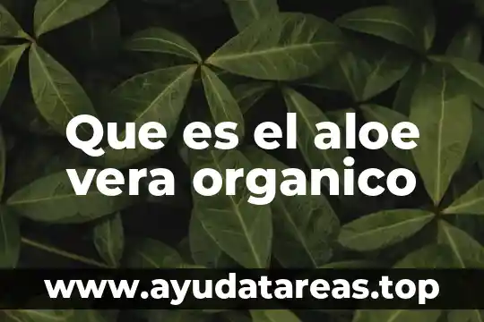 Aloe vera mas pasta de dientes para que es útil 3 Que es el aloe vera organico