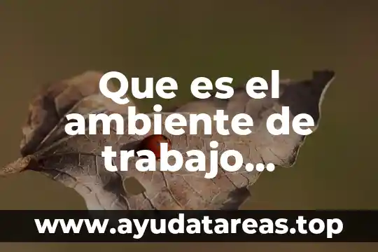 Que es la estructura de ambiente 3 Que es el ambiente de trabajo atractivo