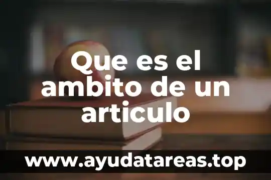Que es el ambito de un articulo