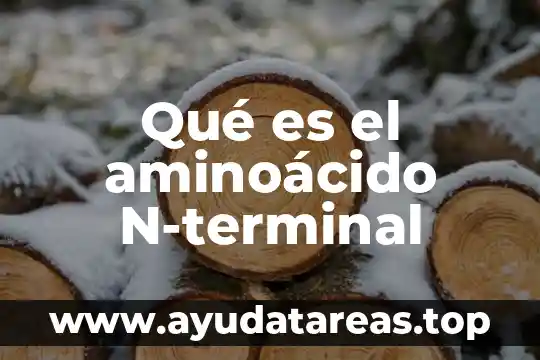 Qué es el aminoácido N-terminal