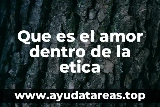 Que es el amor dentro de la etica