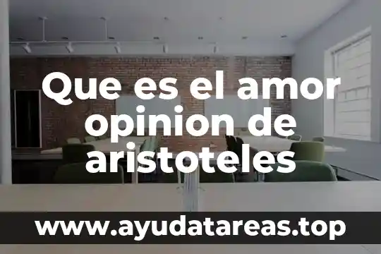 Que es un vicio segun aristoteles 5 Que es el amor opinion de aristoteles