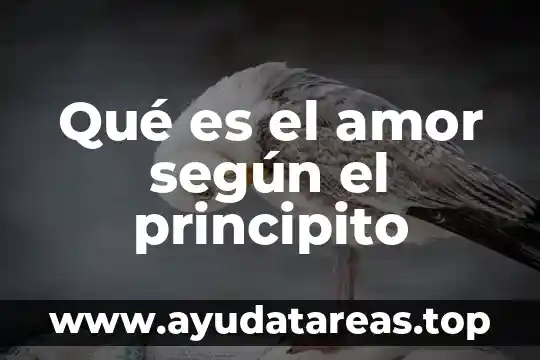 Que es el amor judio 3 Qué es el amor según el principito