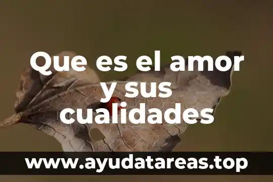 Que es o que significa un tratado de amor 5 Que es el amor y sus cualidades