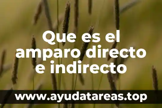Que es el amparo significado juridico 3 Que es el amparo directo e indirecto