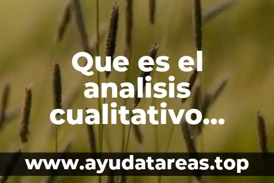 Que es el analisis de representación algebraico 7 Que es el analisis cualitativo fisica