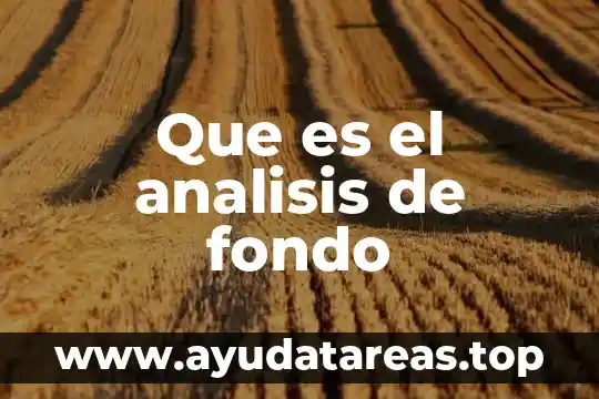 Que es el analisis de fondo