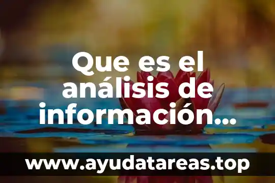 Que es el análisis de información actuarial