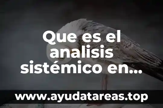 Por que es importante el pensamiento sistémico 5 Que es el analisis sistémico en sociología de las personas