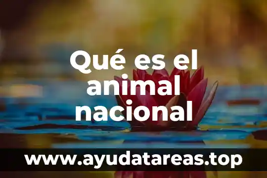 Animal cuts que es 7 Qué es el animal nacional