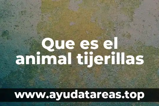 Qué es la mitocondria de la célula animal 3 Que es el animal tijerillas