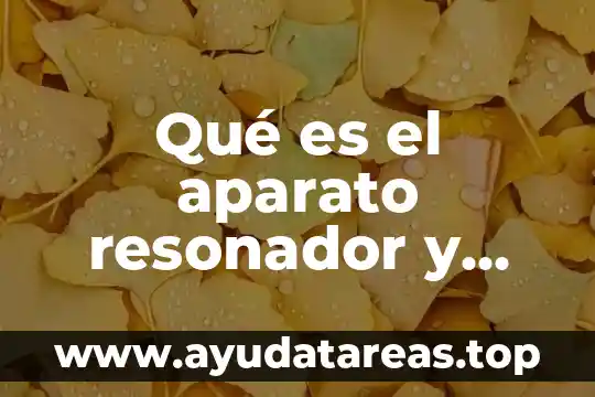 Qué es el aparato resonador y qué órganos lo componen