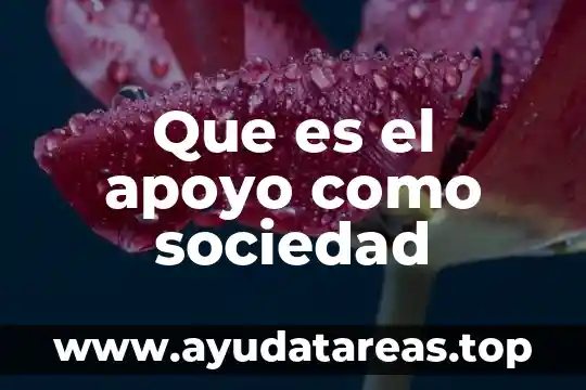 Que es el apoyo como sociedad
